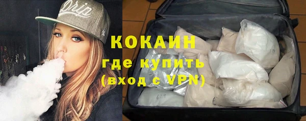 гашик Алзамай