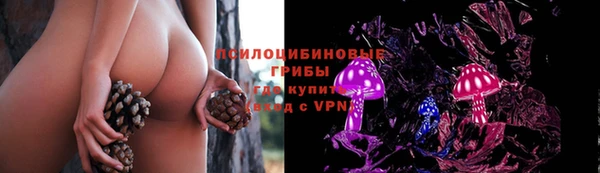 сатива Куйбышев