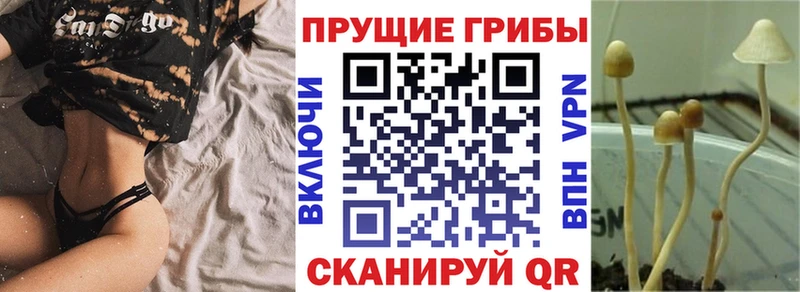 Псилоцибиновые грибы мухоморы  цена   Чухлома 